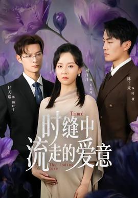 时缝中流走的爱意——赚遍全京城：古代掌柜全集免费