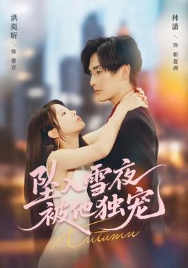 坠入雪夜，被他独宠——爱情公寓3在线观看